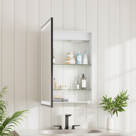 Modern Black Surface Mount LED Mirror Cabinet