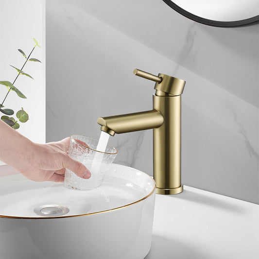 Stainless Steel Sink Tap with Single Lever